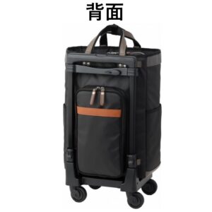 D-650L21